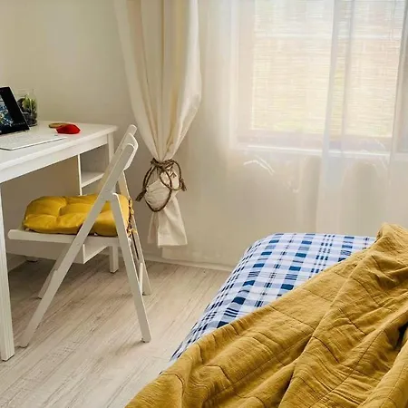 Lily - 408a 索佐波尔