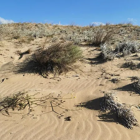 Lily - 408a Apartman Szozopol