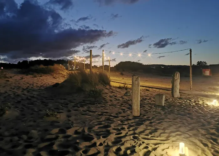 Lily - 408a * Sozopol