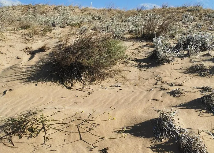 Lily - 408a Appartement Sozopol